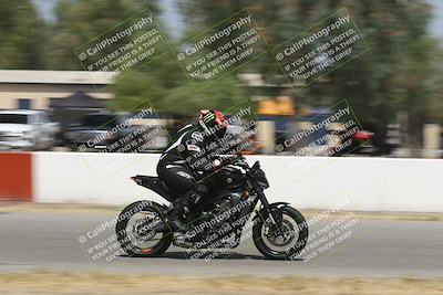 media/Sep-07-2024-Pacific Track Time (Sat) [[9bb89f5e83]]/B group/Front Straight 1220pm/